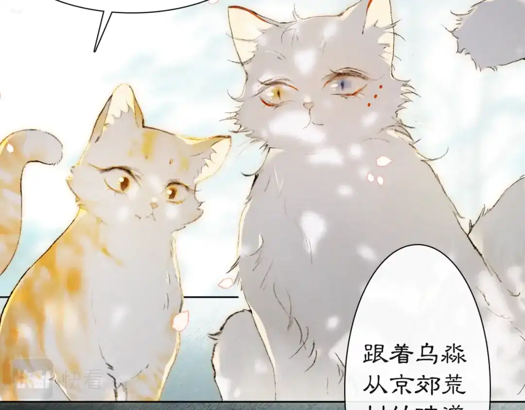 《紫禁·御喵房》第41话 三秋杯的故事 第51页