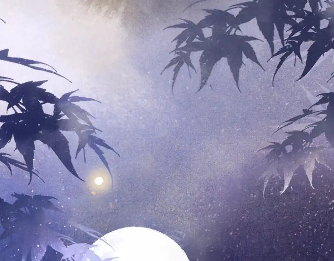《紫禁·御喵房》序章 第二季回归 第2页
