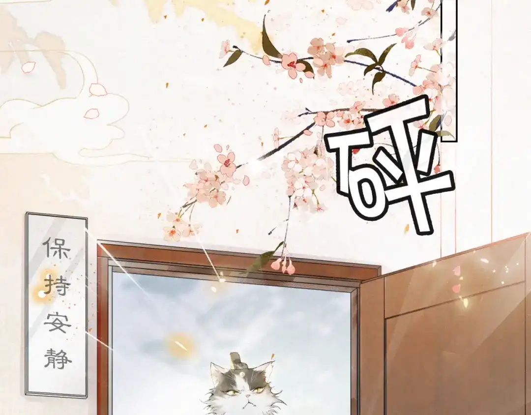 《紫禁·御喵房》第1话 意外穿越 第50页