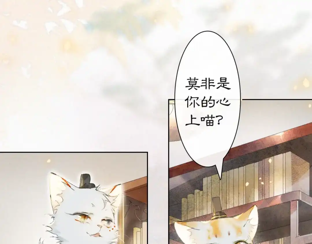 《紫禁·御喵房》第1话 意外穿越 第36页