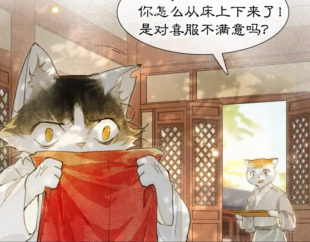 《紫禁·御喵房》第3话 退婚——势在必行！ 第10页