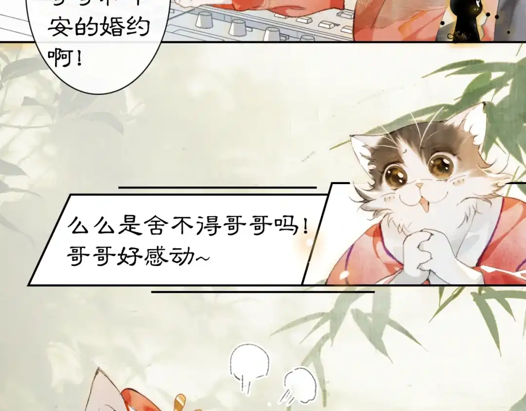《紫禁·御喵房》第4话 “名医”来访 第26页