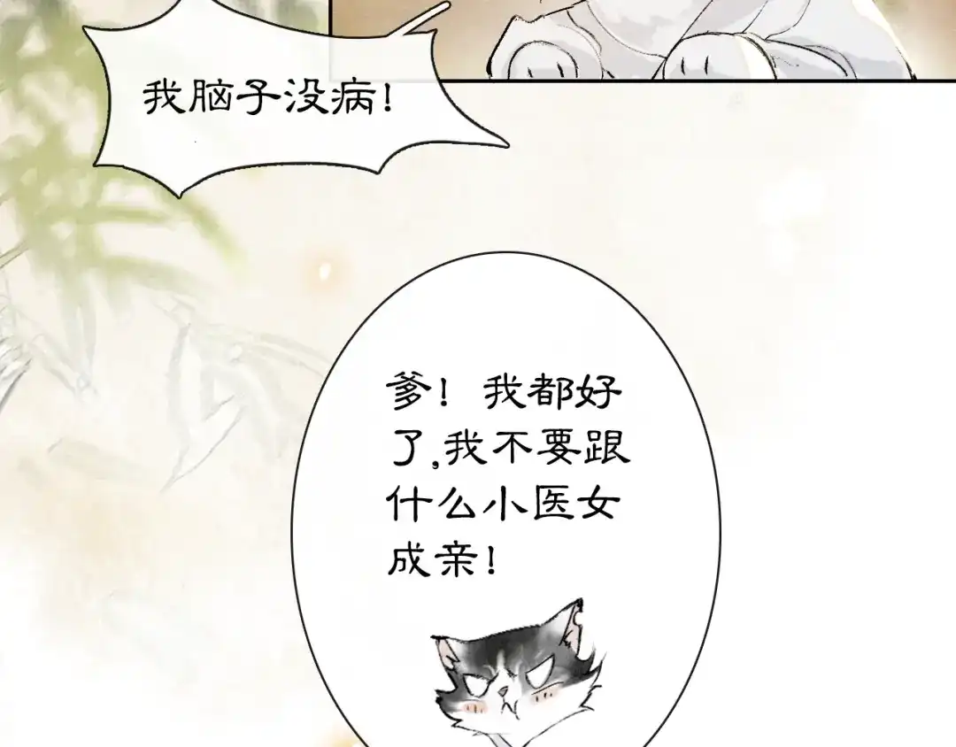 《紫禁·御喵房》第5话 乐与忧 第37页