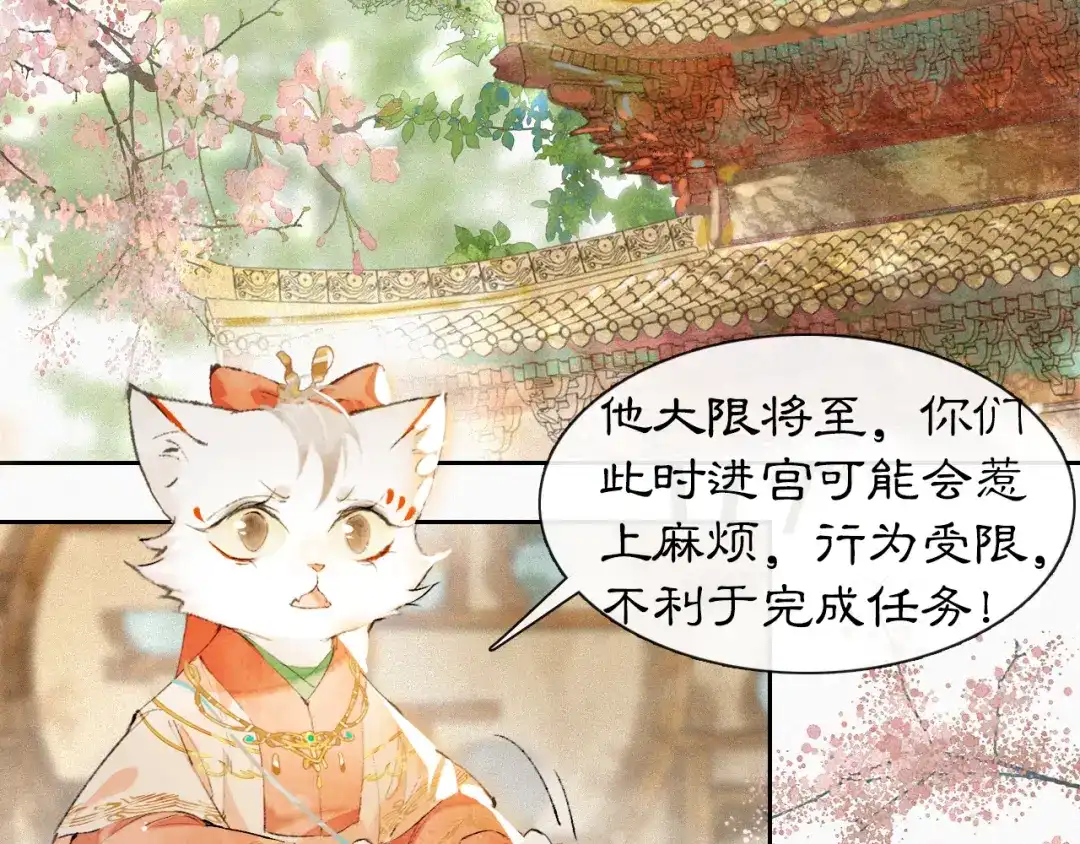 《紫禁·御喵房》第6话 温暖 第7页