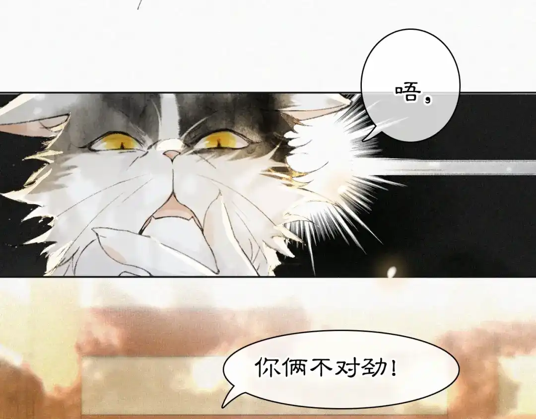 《紫禁·御喵房》第7话 迷糊小仔的告白 第10页