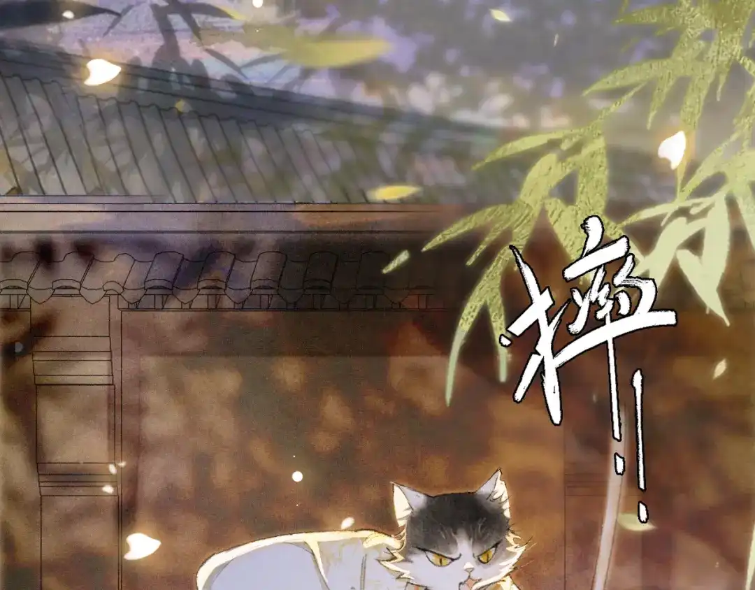 《紫禁·御喵房》第8话 夜探皇宫 第5页