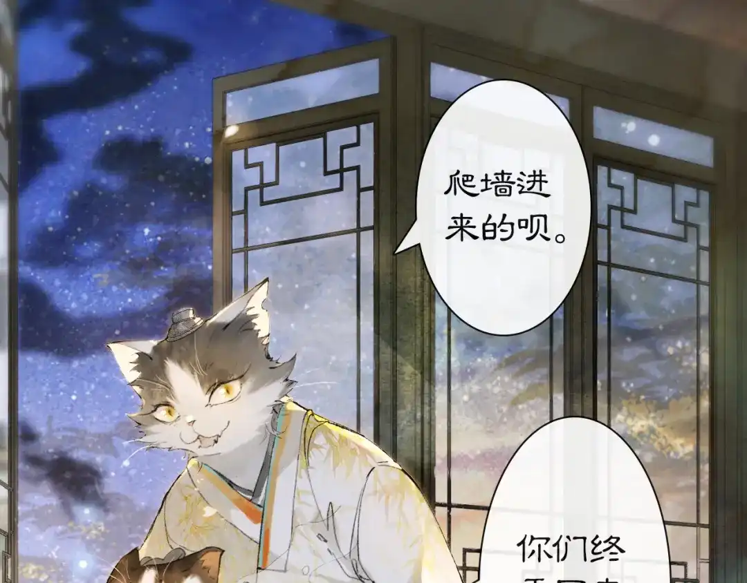 《紫禁·御喵房》第9话 御喵会议！ 第27页