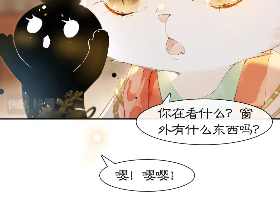 《紫禁·御喵房》第9话 御喵会议！ 第40页
