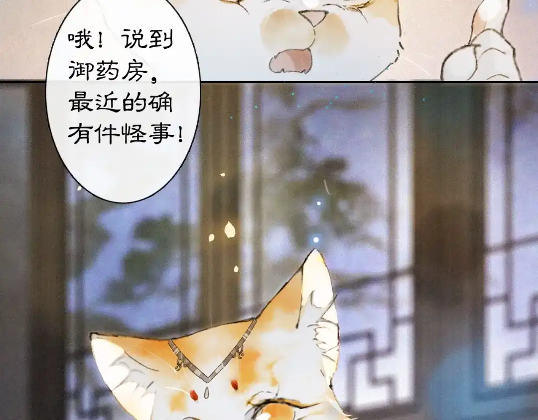 《紫禁·御喵房》第10话 药柜有诡？ 第35页