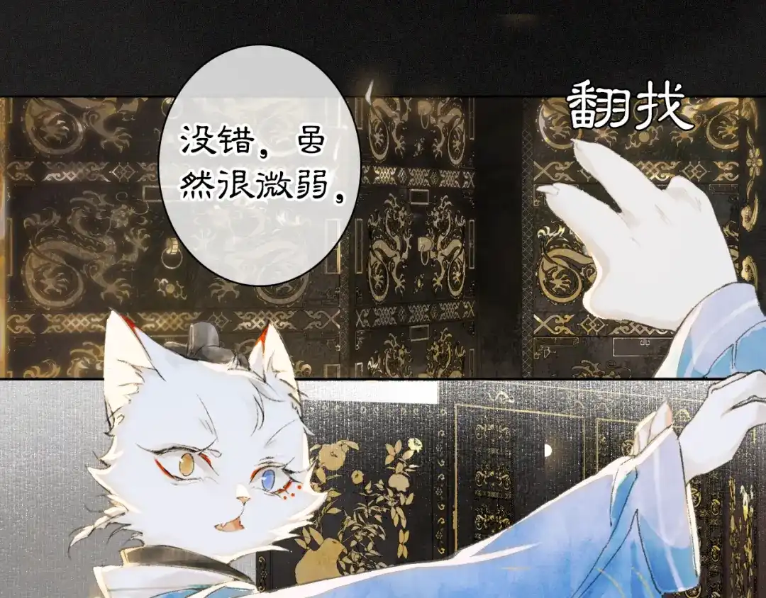 《紫禁·御喵房》第11话 奇妙发现 第19页