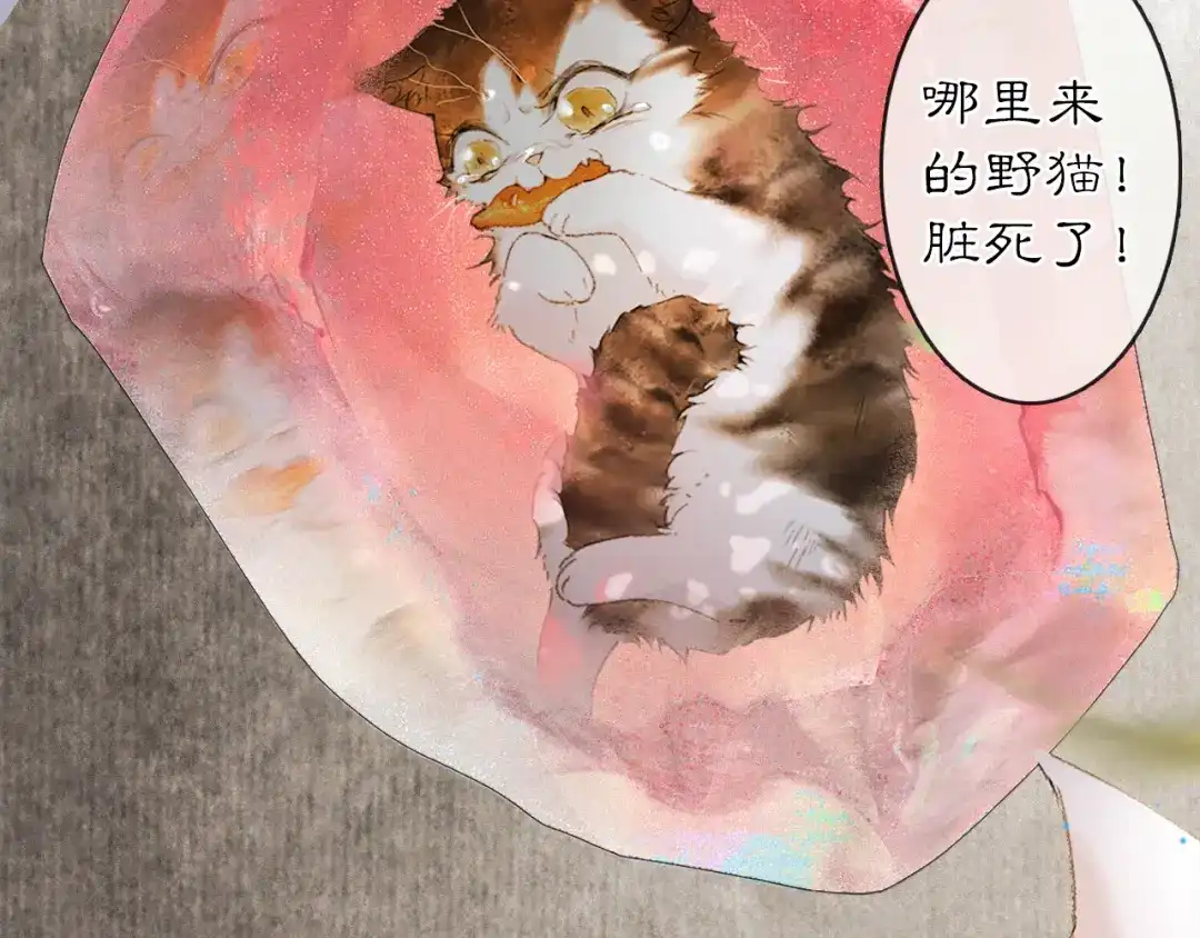 《紫禁·御喵房》第12话 猫猫心事 第38页