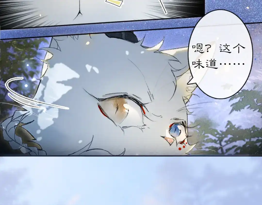 《紫禁·御喵房》第13话 红丸事发，皇上驾崩！ 第10页