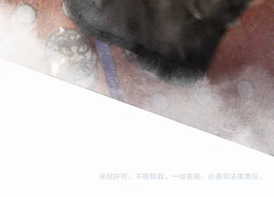 《紫禁·御喵房》第14话 走！看热闹！ 第54页