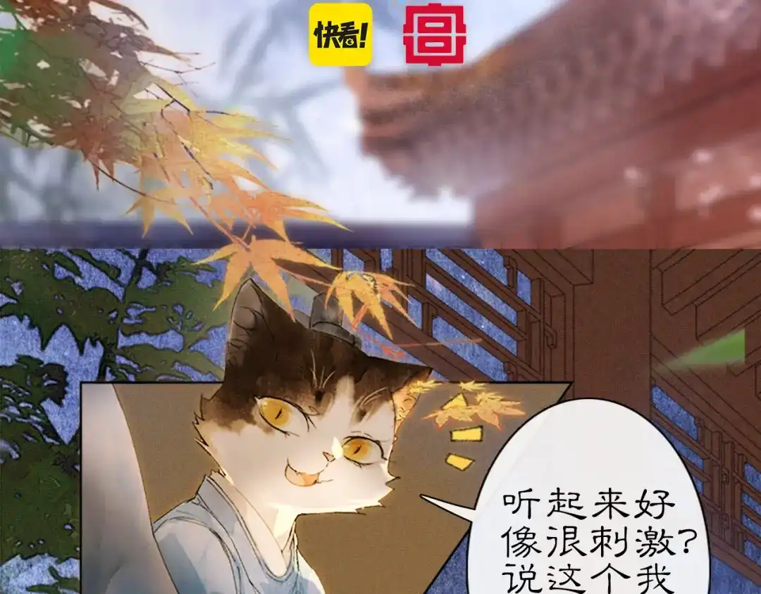 《紫禁·御喵房》第14话 走！看热闹！ 第5页