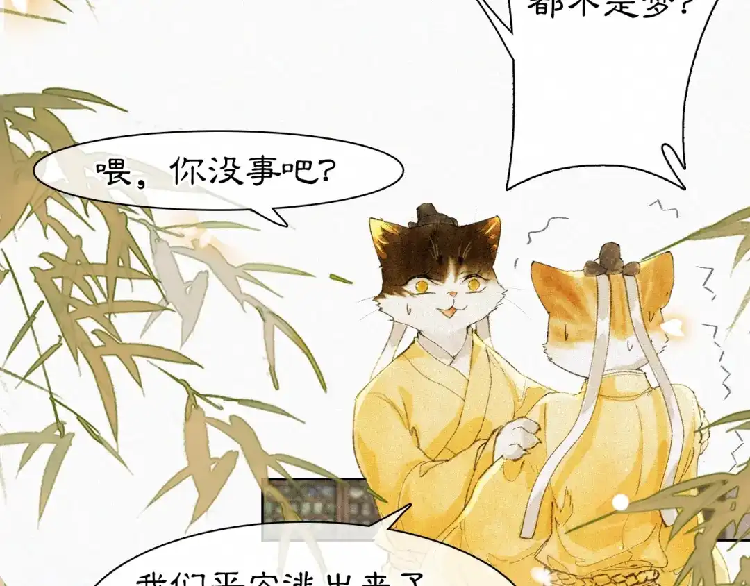 《紫禁·御喵房》第17话 失控的吴忧 第34页