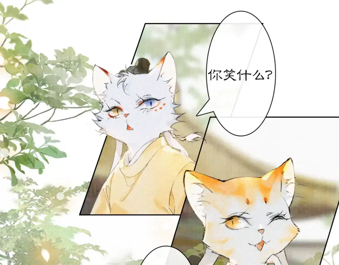 《紫禁·御喵房》第18话 吴忧危险！ 第22页