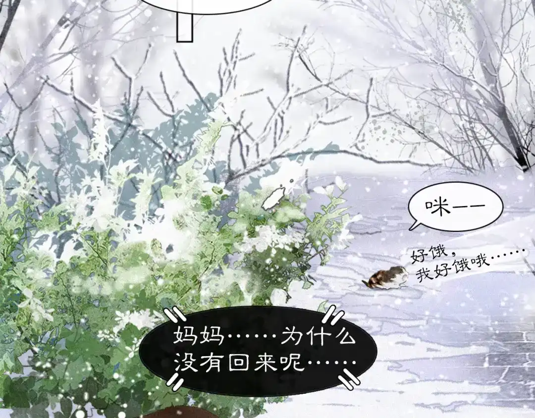《紫禁·御喵房》第20话 星空下的反省 第40页