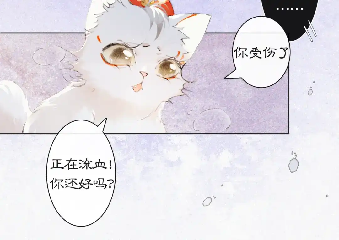 《紫禁·御喵房》番外 小仔的冬天 第37页