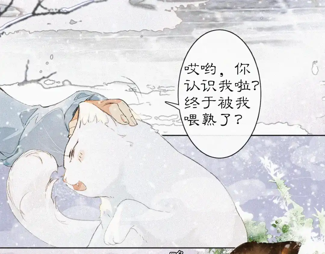 《紫禁·御喵房》番外 小仔的冬天 第13页