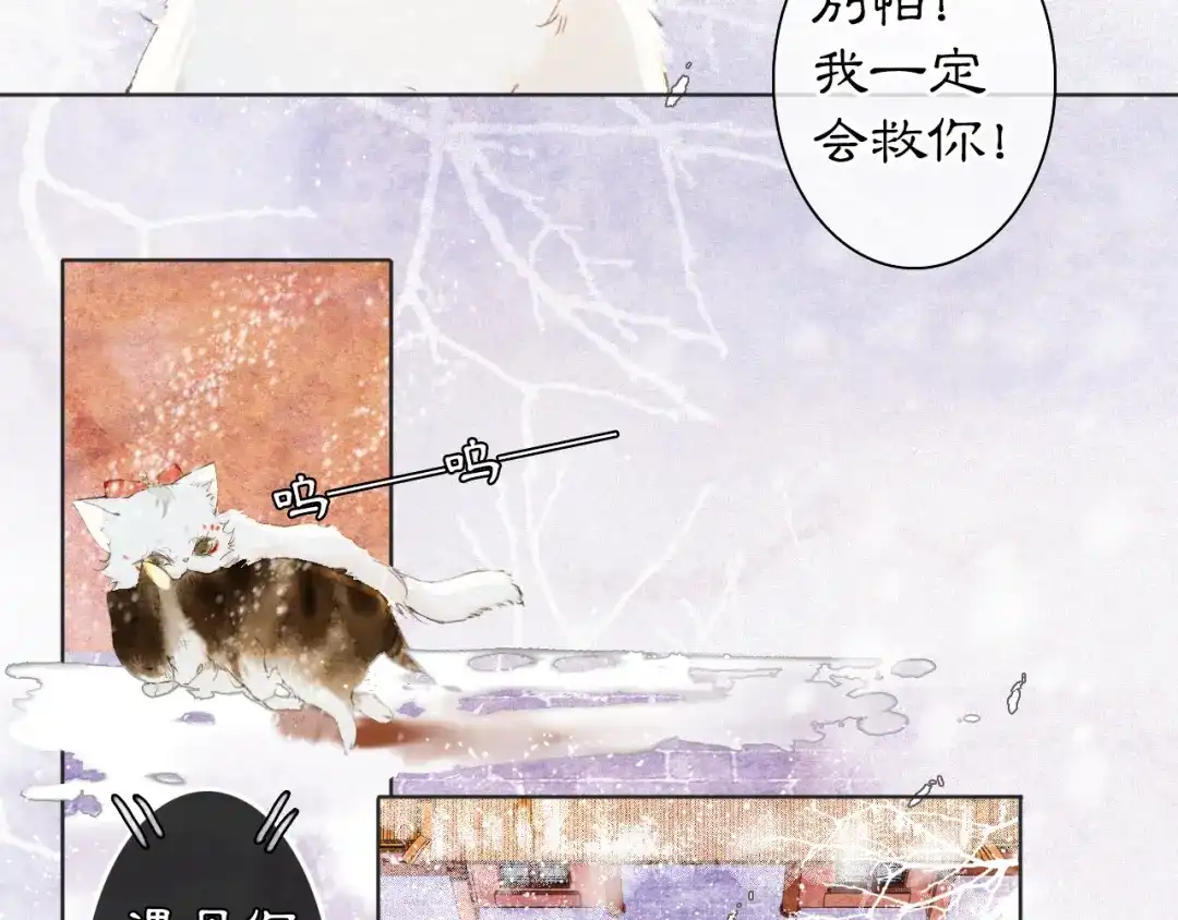 《紫禁·御喵房》番外 小仔的冬天 第55页