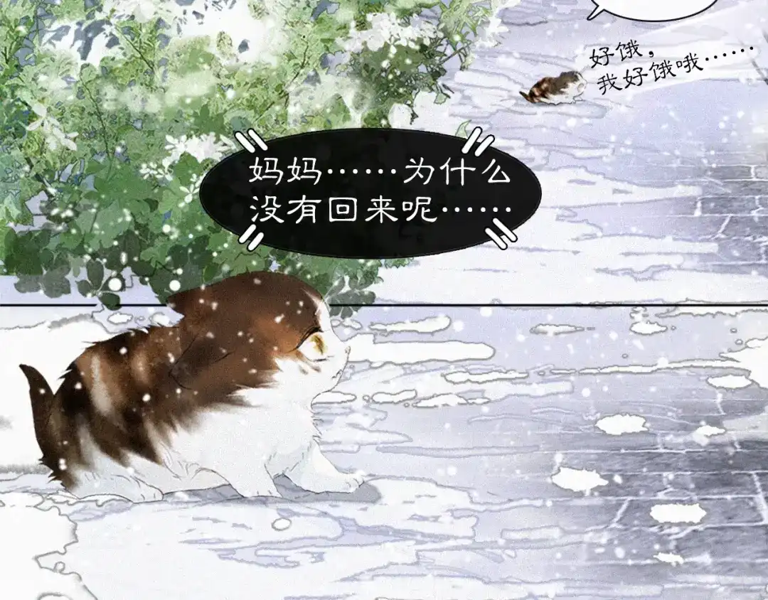 《紫禁·御喵房》番外 小仔的冬天 第3页