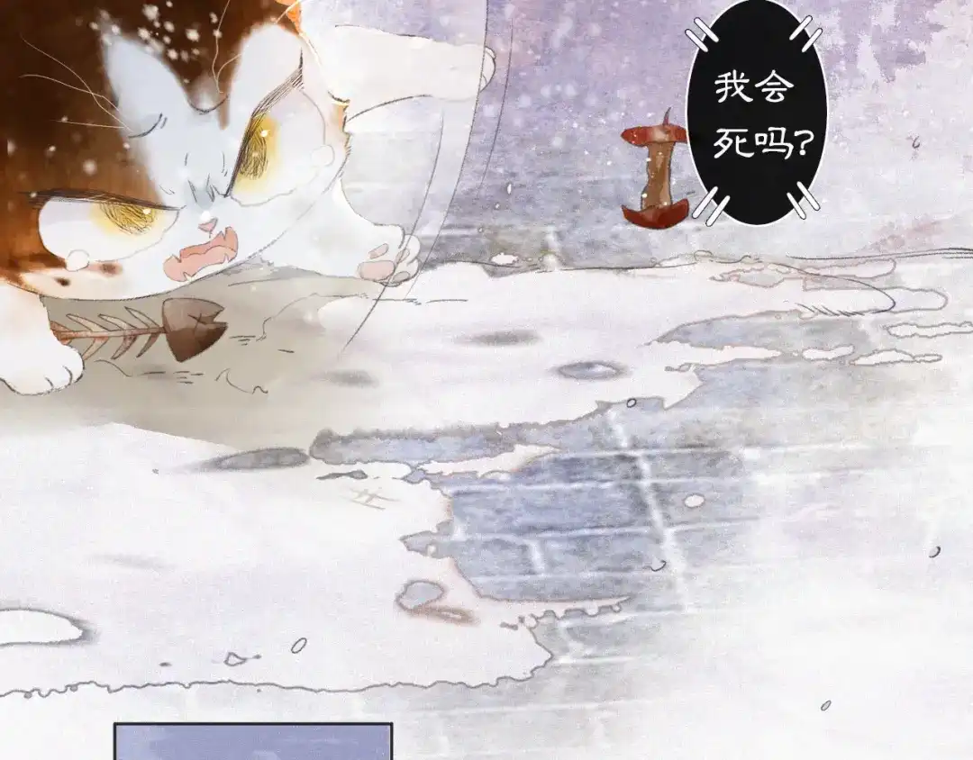 《紫禁·御喵房》番外 小仔的冬天 第28页