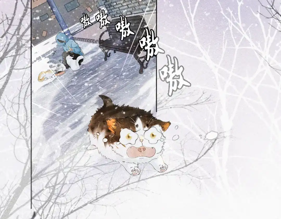 《紫禁·御喵房》番外 小仔的冬天 第9页
