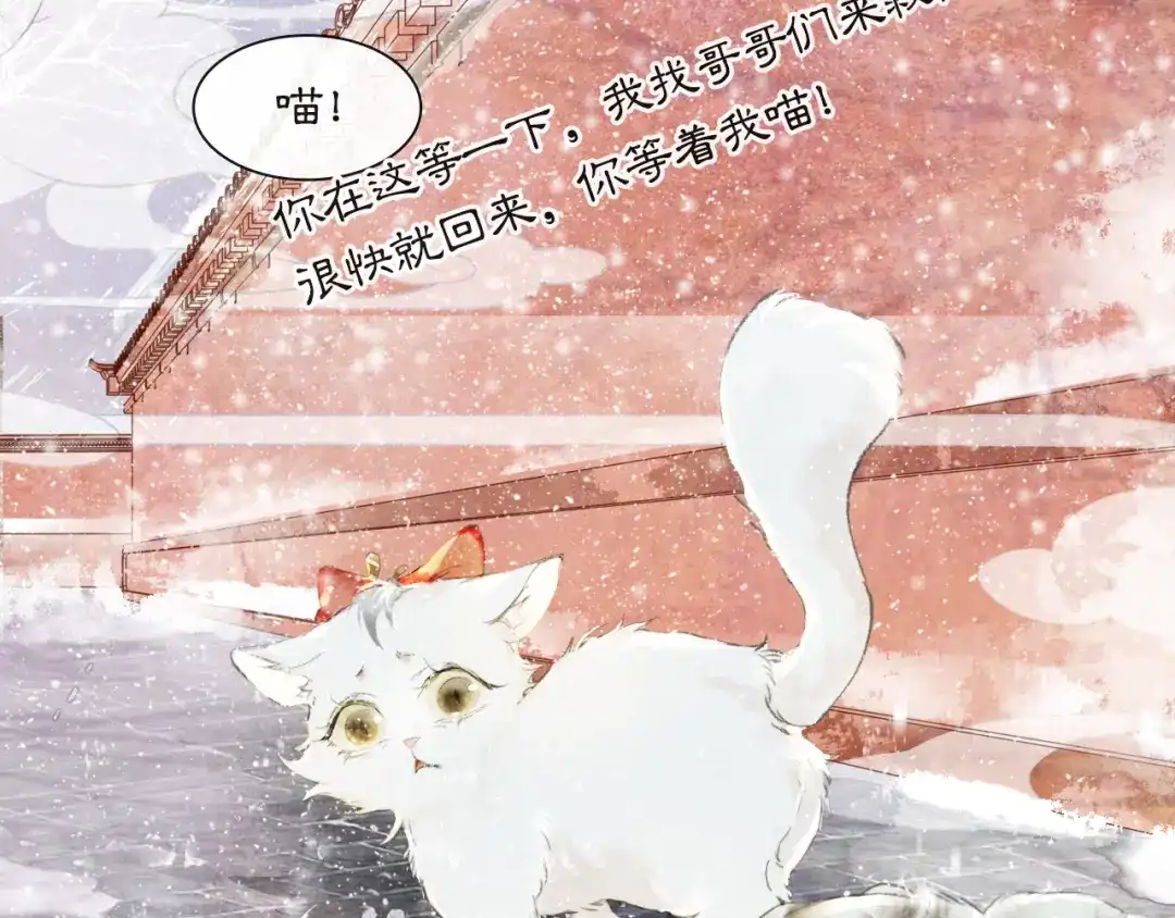 《紫禁·御喵房》番外 小仔的冬天 第41页