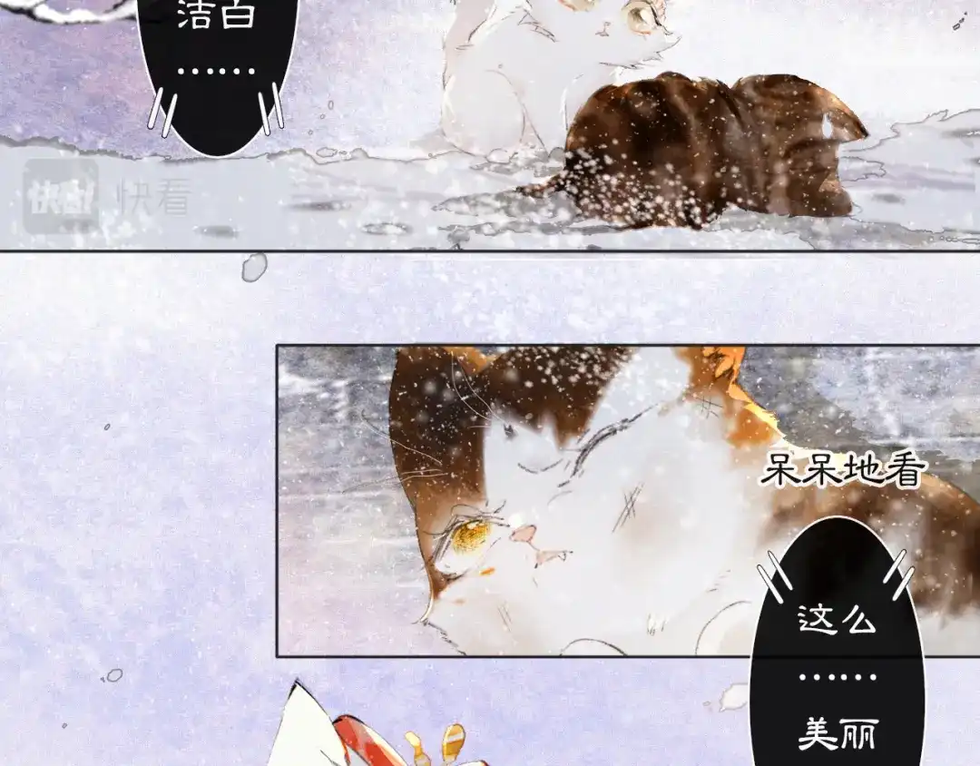 《紫禁·御喵房》番外 小仔的冬天 第36页