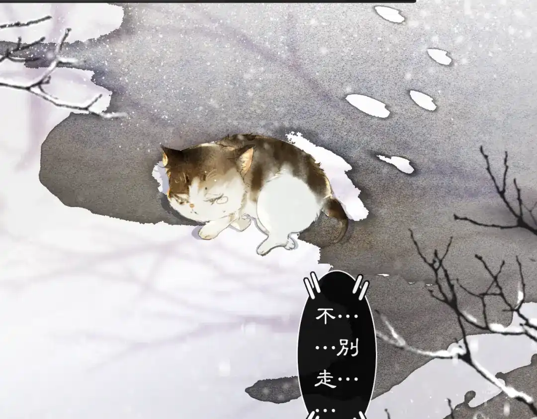 《紫禁·御喵房》番外 小仔的冬天 第43页