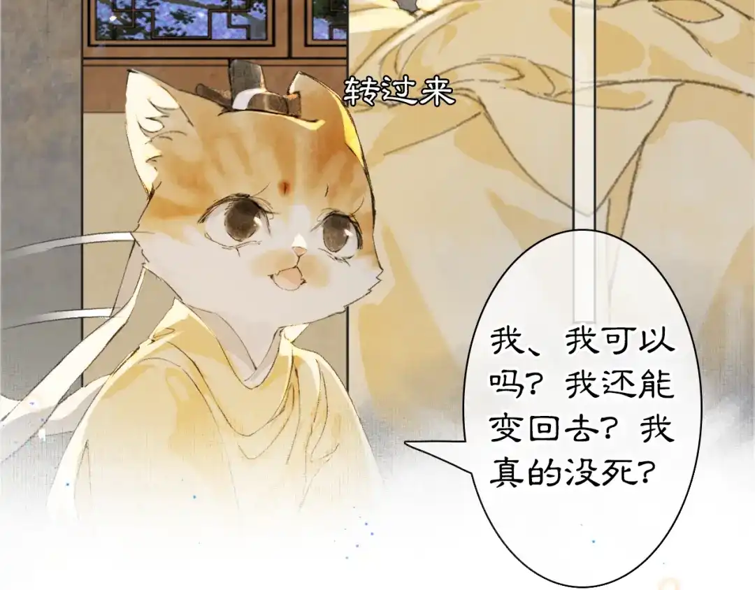 《紫禁·御喵房》第22话 眼熟的鱼！(含番外) 第4页