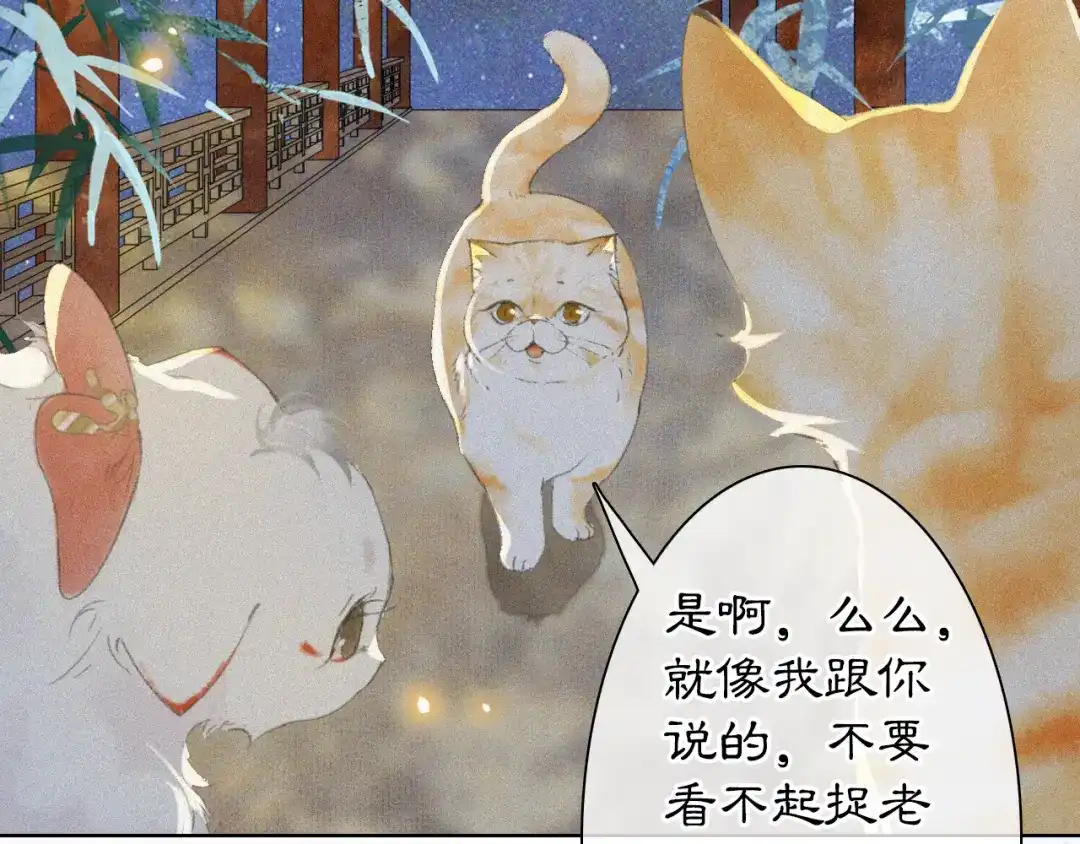 《紫禁·御喵房》番外 御喵夜生活·下 第35页