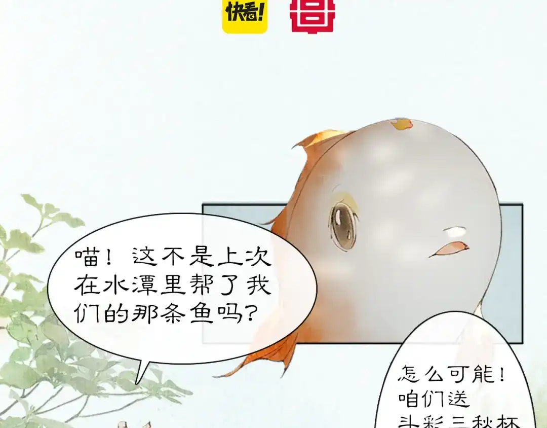 《紫禁·御喵房》第23话 双标的鲤鱼 第6页