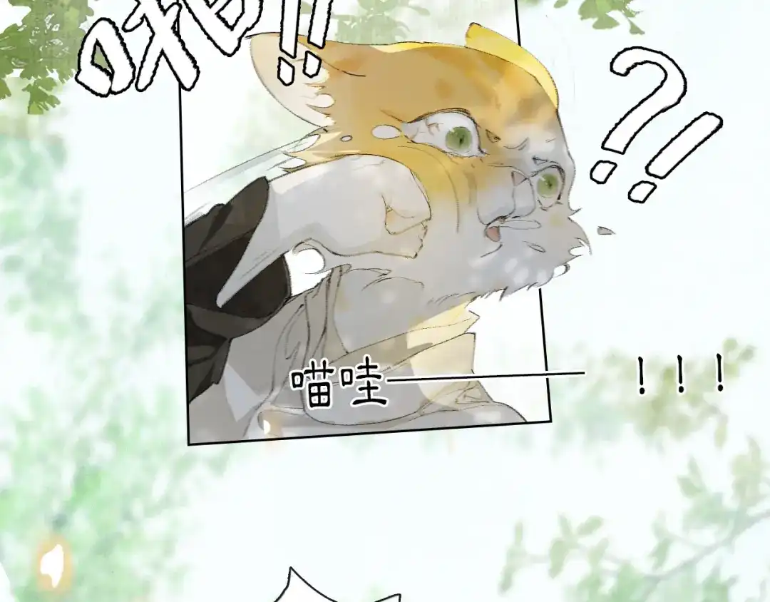 《紫禁·御喵房》第24话 橘猫大侠 第24页