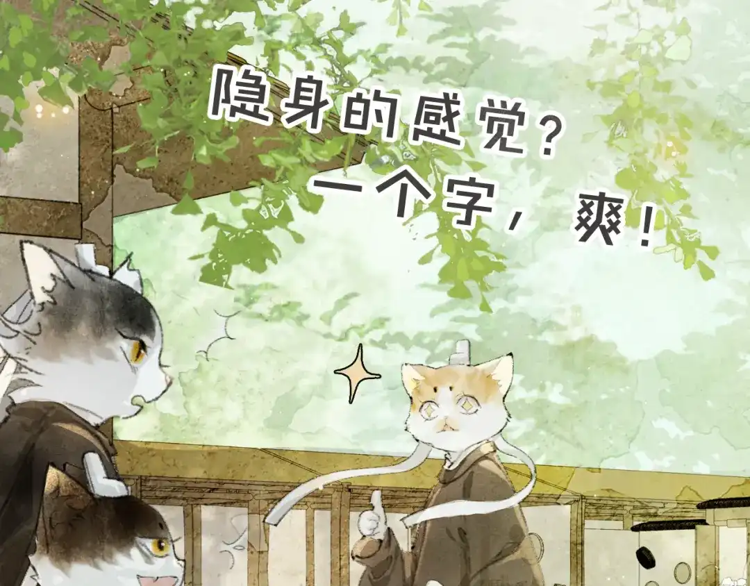 《紫禁·御喵房》第24话 橘猫大侠 第41页