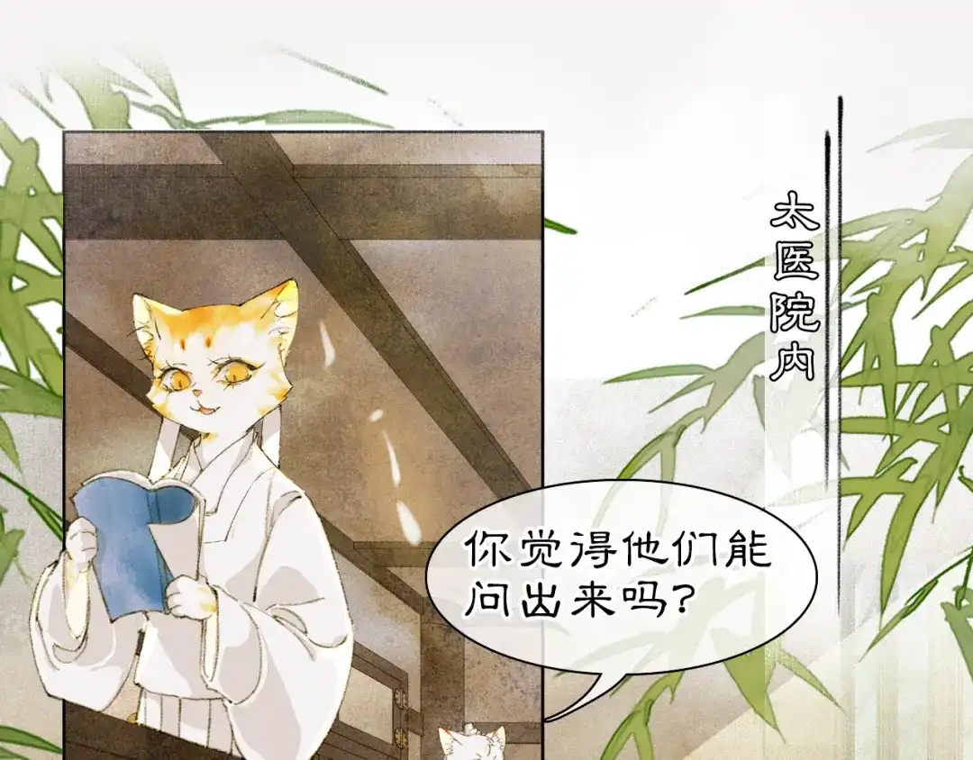 《紫禁·御喵房》第25话 肆意妄为隐身猫 第42页