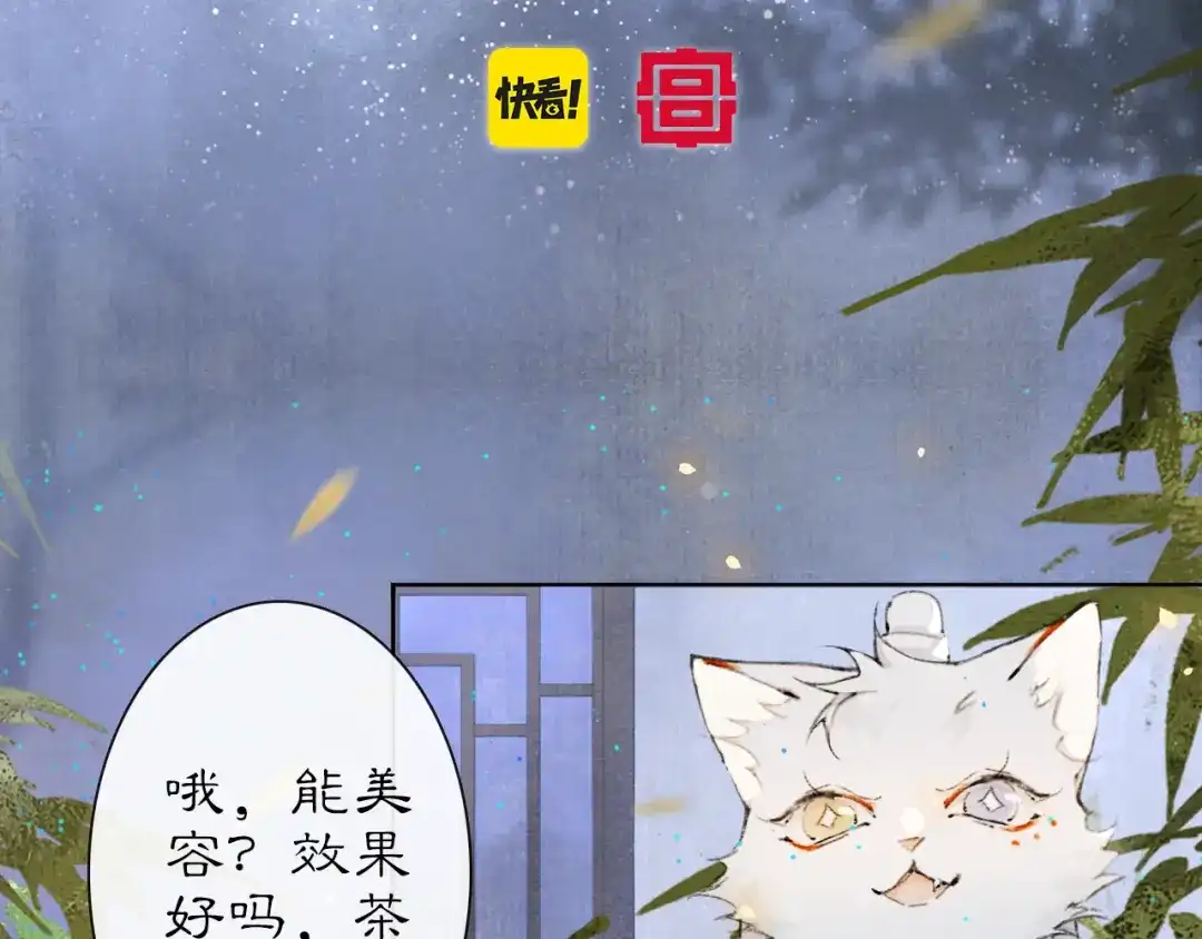 《紫禁·御喵房》第29话 霜眉失忆！ 第5页