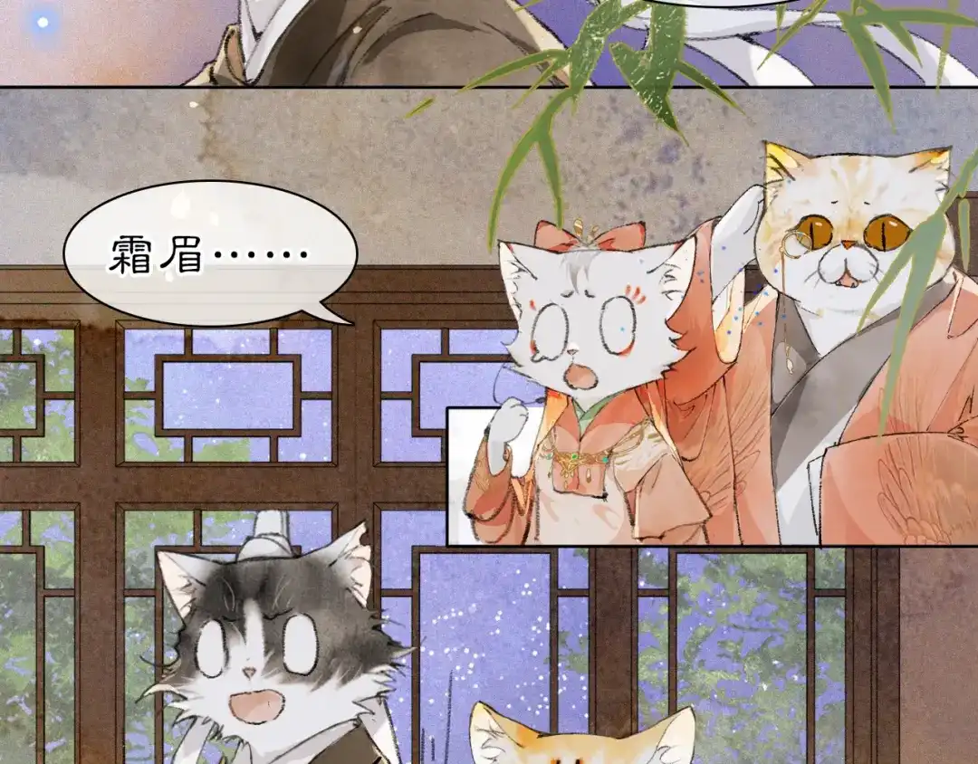 《紫禁·御喵房》第29话 霜眉失忆！ 第44页