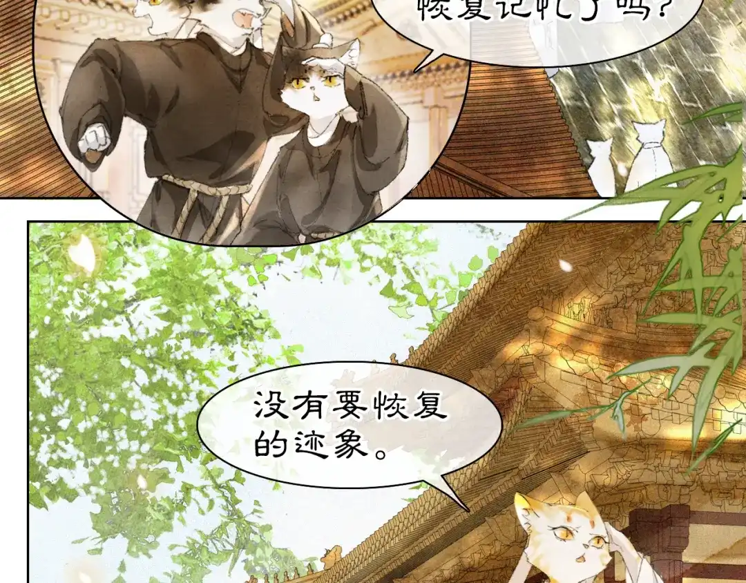 《紫禁·御喵房》第31话 关系 第42页
