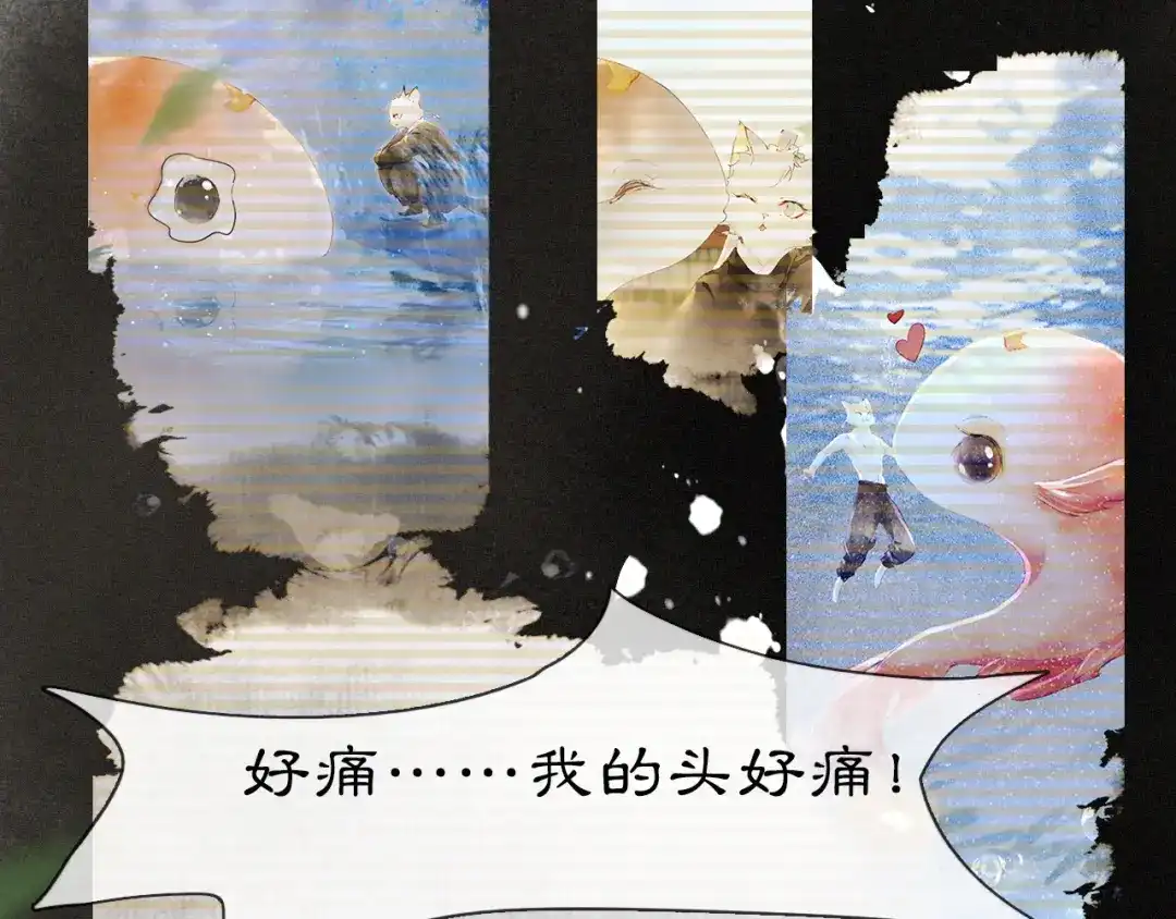 《紫禁·御喵房》第32话 又见大鱼 第33页
