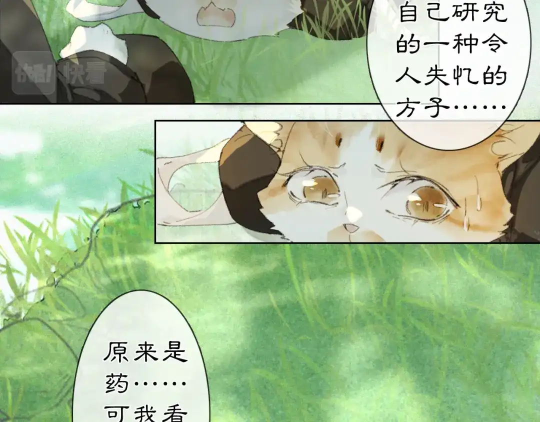 《紫禁·御喵房》第33话 技能发动！ 第28页