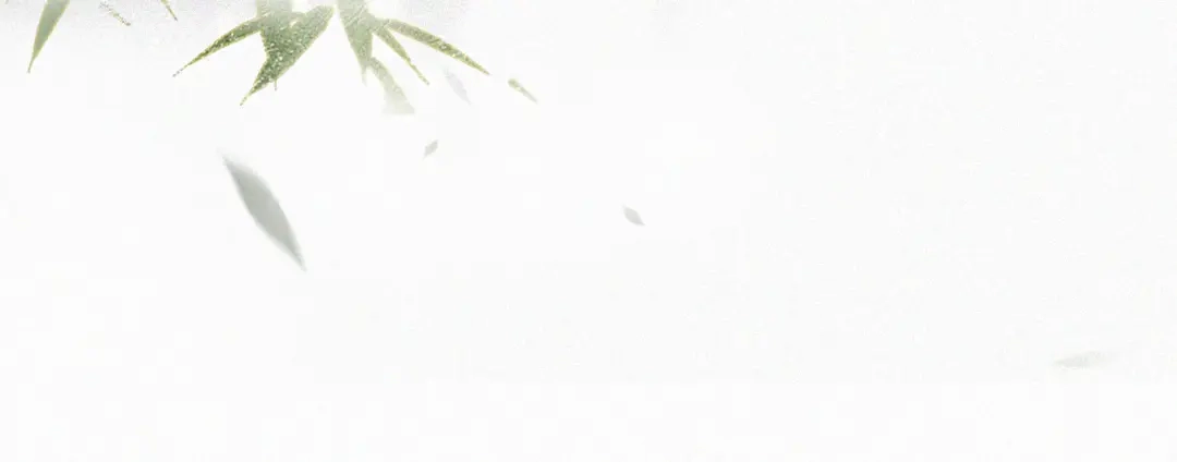 《紫禁·御喵房》第34话 吴忧的回忆 第47页