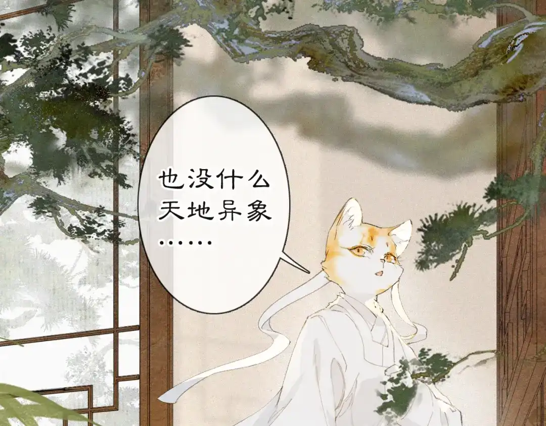 《紫禁·御喵房》第36话 被选中的喵 第32页