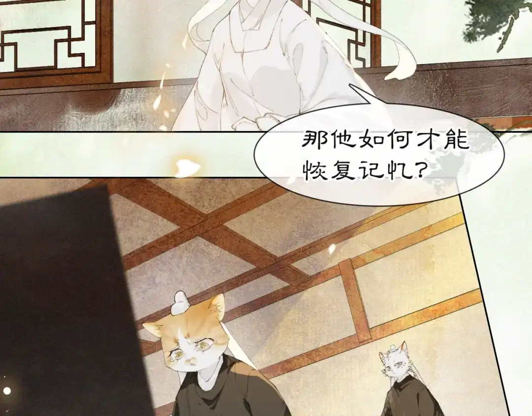 《紫禁·御喵房》第36话 被选中的喵 第38页
