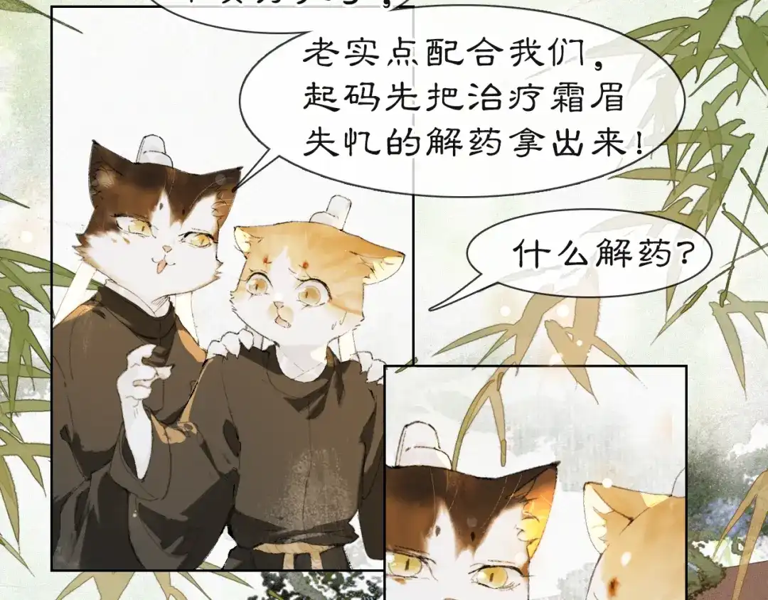 《紫禁·御喵房》第36话 被选中的喵 第36页