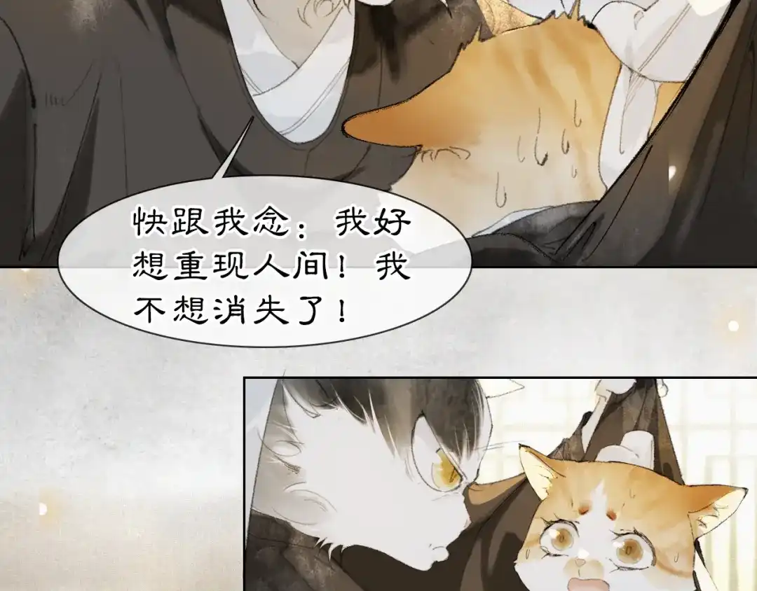 《紫禁·御喵房》第36话 被选中的喵 第26页