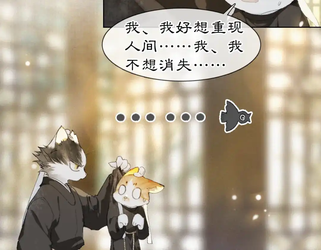 《紫禁·御喵房》第36话 被选中的喵 第27页