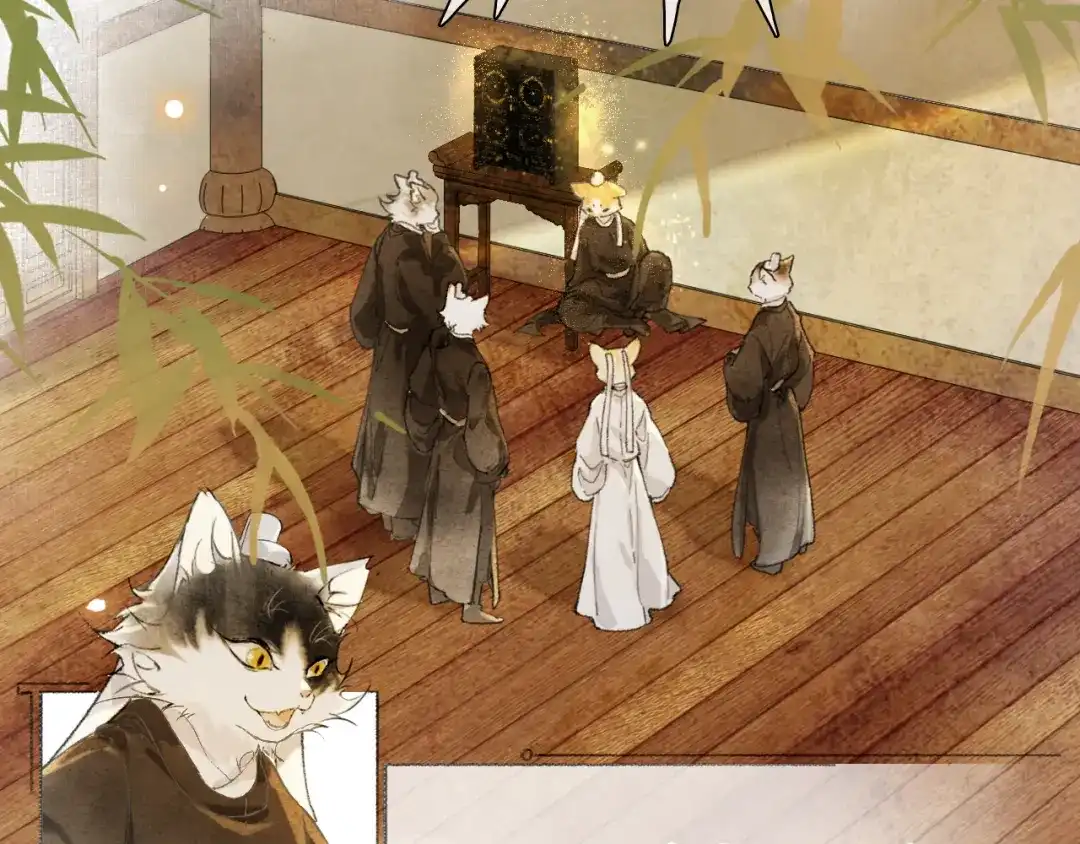 《紫禁·御喵房》第36话 被选中的喵 第17页