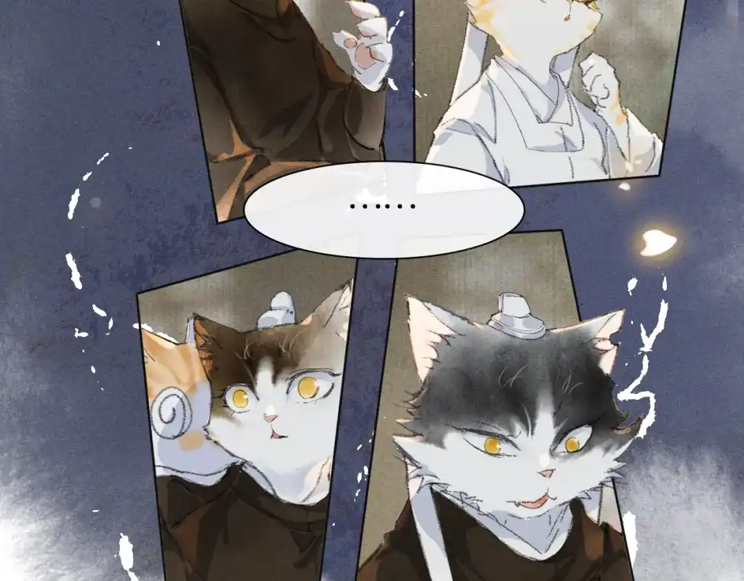 《紫禁·御喵房》第36话 被选中的喵 第11页