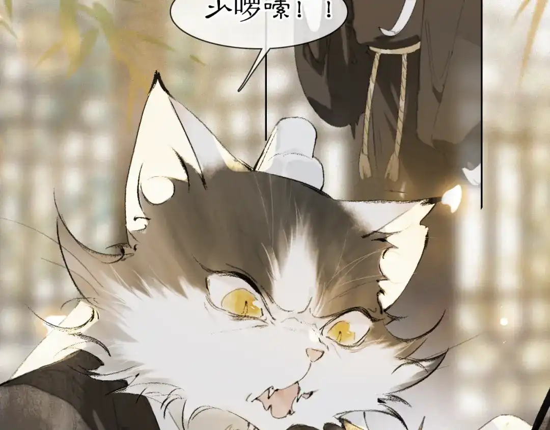 《紫禁·御喵房》第36话 被选中的喵 第25页